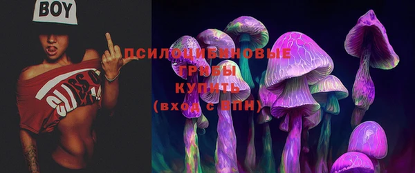 круглые Богородицк