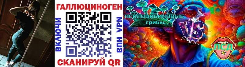omg ТОР  Бутурлиновка  Галлюциногенные грибы Psilocybe 