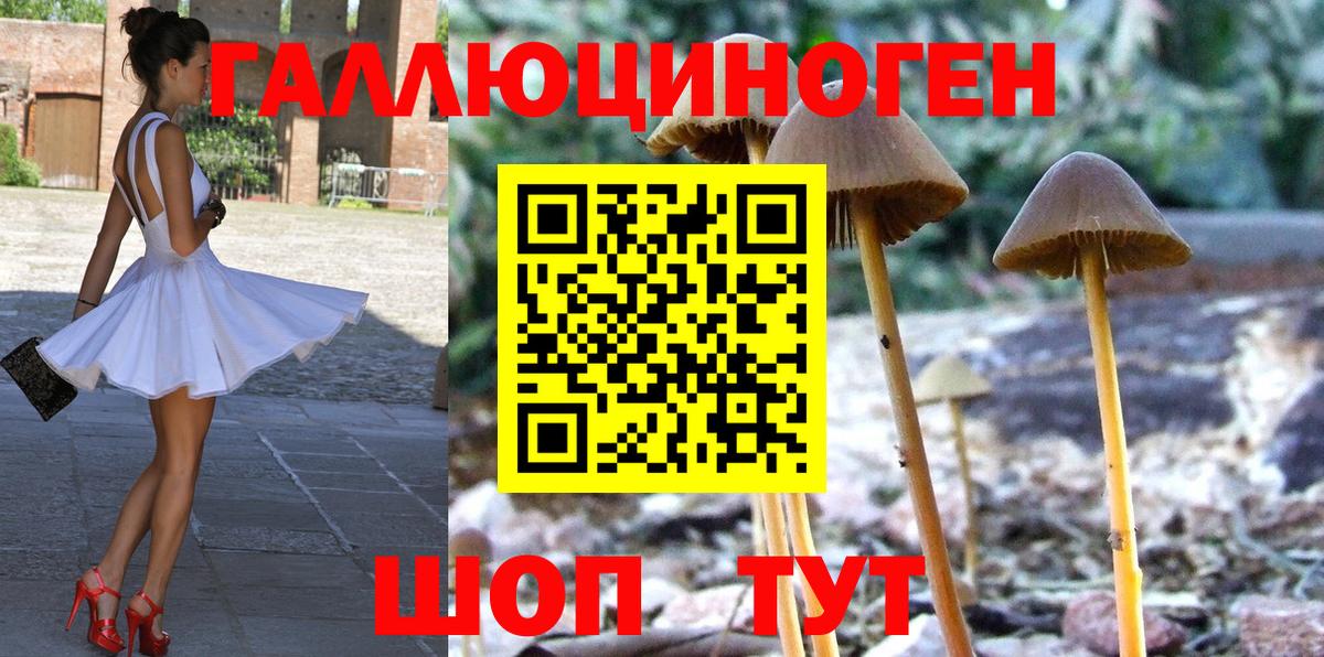 Бутурлиновка  даркнет сайт  Вход с VPN  Псилоцибиновые грибы Psilocybe 